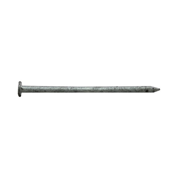 Pro-Fit 0054175 Common Nail, 10D x 3 in, Steel, Hot Dip Galvanized