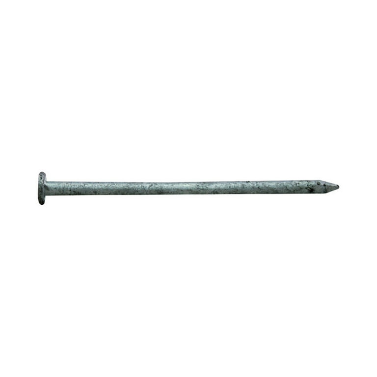 Pro-Fit 4 1-1/2 in. Common Hot-Dipped Galvanized Steel Nail 1 lb Pro-Fit 4 1-1/2 in. Common Hot-Dipped Galvanized Steel Nail 1 lb