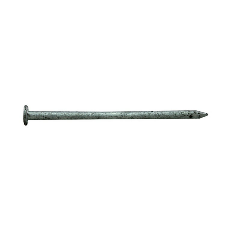 Pro-Fit 4 in. Galvanized Nail 5 lb Pro-Fit 4 in. Galvanized Nail 5 lb