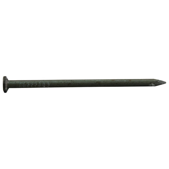 Pro-Fit  8D  2-1/2 in. Common  Bright  Steel  Nail  Flat  1 lb.