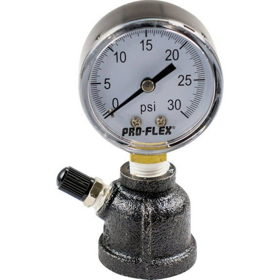 Pro-Flex Gas Test Gauge - Single Pack