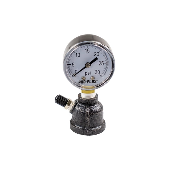 Pro-Flex Gas Test Gauge - Single Pack