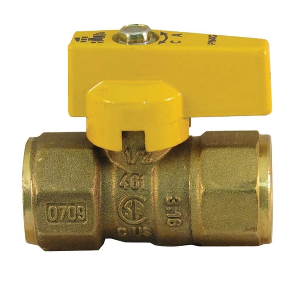 Proflex+ Gas Valve PFGV-F12C - 1/2 In. FIP x 1/2 In. FIP, Brass, White - Gas Valves With Flexline
