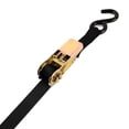 thumbnail image 1 of Pro Grip 309540 10' Black Ratchet Tiedown 4 Count, 1 of 1