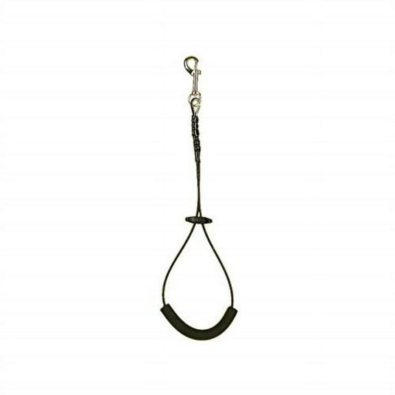 Pro Guard Dog Grooming Restraint Loop with Snap, 21 Tether