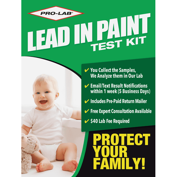 Pro Lab Lead Test Kit For Paint And Dust - Pack of 2 — Interior & Exterior Use, Professional Finish