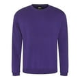 thumbnail image 1 of Pro RTX Mens Pro Sweatshirt, 1 of 4