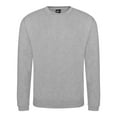 thumbnail image 1 of PRO RTX Mens Pro Sweatshirt, 1 of 3