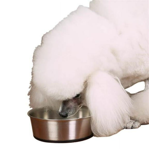 Proselect ZW880 16 Stainless Steel Bowl with Rubber Base 16oz