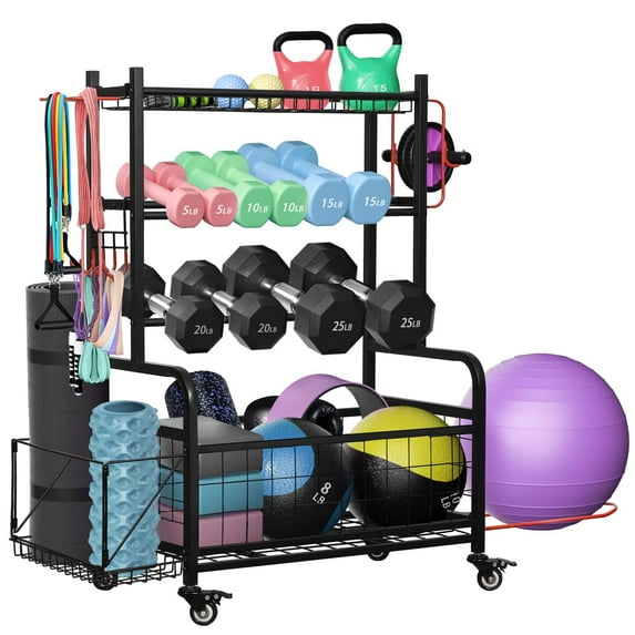 Pro-Series Mobile Dumbbell Rack & All-in-One Gym Storage Organizer with ...