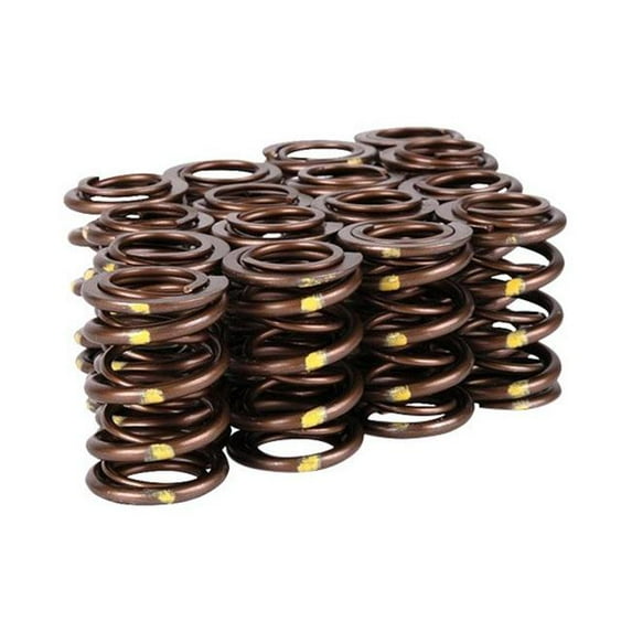 Pro-Series XP Racing Valve Spring Kit