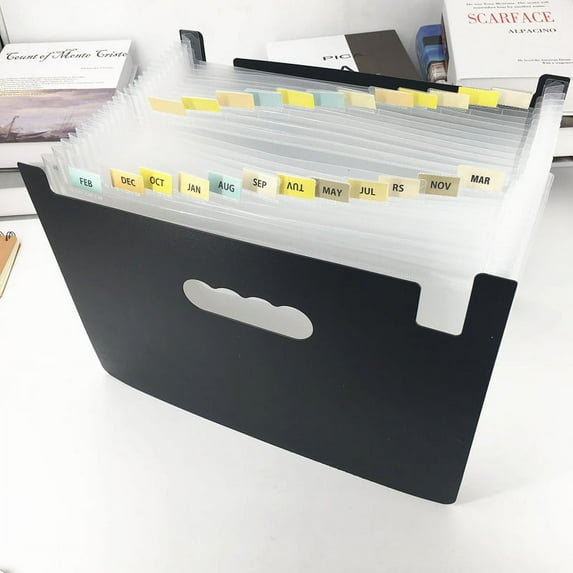 Pro Space Expanding File Organizer High Capacity Plastic File Wallets Stand Bag for Business/Office/Study/Home, Transparent(48 Pockets)