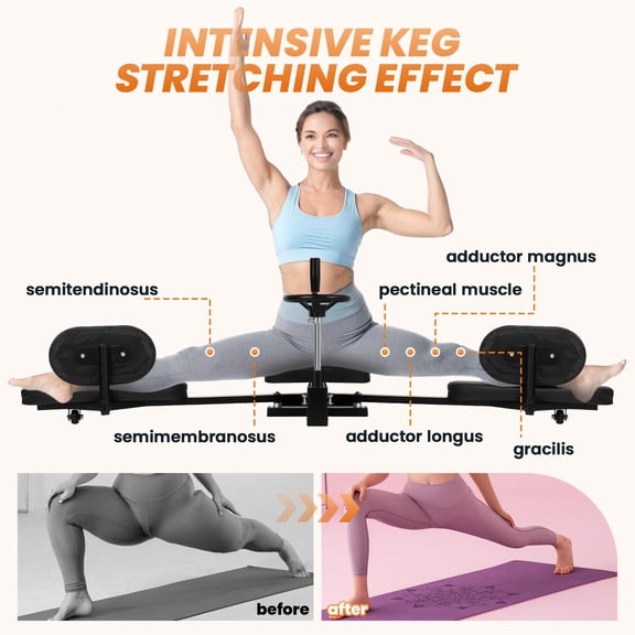 Pro Steel Frame Leg Stretching Training Machine, Professional Adjustable Split Stretcher with Silent Wheels, up to 240 Degrees Steel Leg Stretch Machine with Hand Wheel for Dance Studio Martial Arts