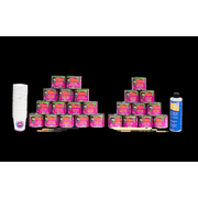 Pro-Striper Pinstriping Kit