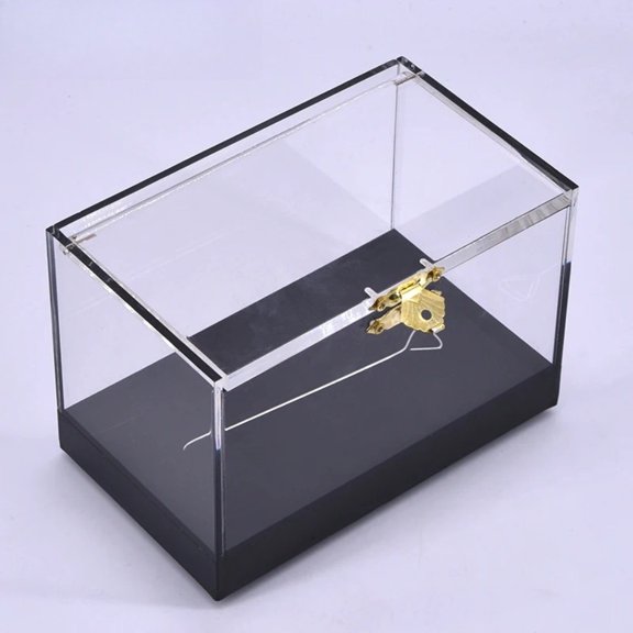 Pro Switch Box Magic Tricks Magician Close Up Illusions Gimmick Prop Appearing Transforming Objects Transparent Magia Box