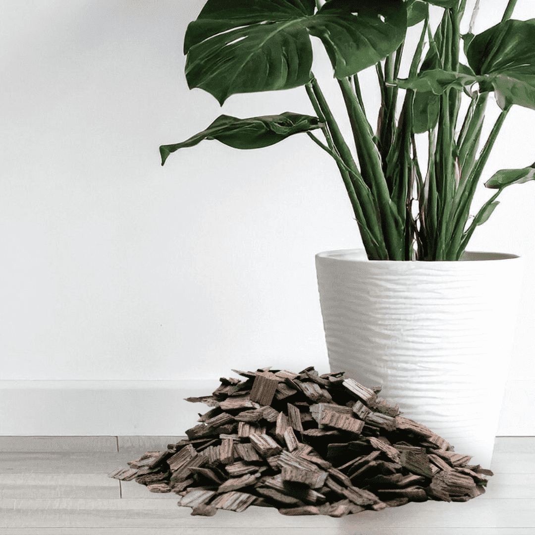 Decorative Mulch for Indoor Planters – Natural Mocha | 6.5 Qts (0.2 cu ft)