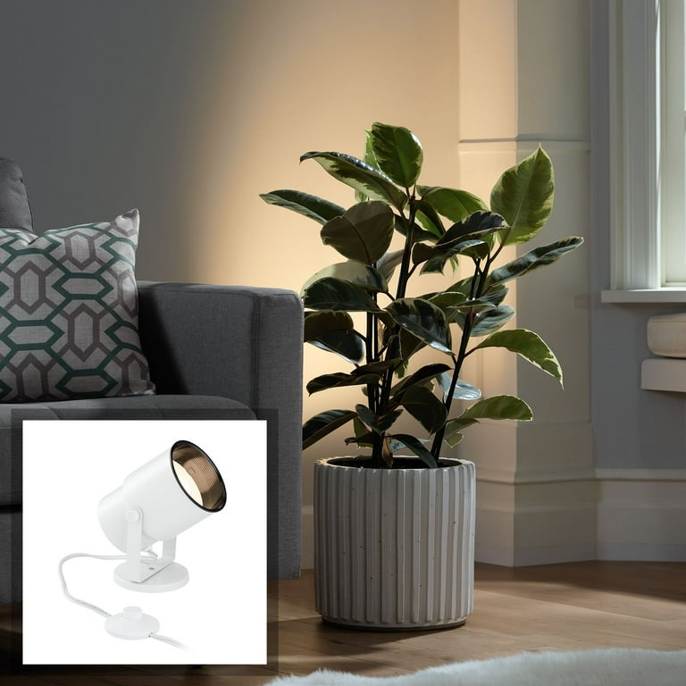 Pro Track Cord n Plug Small Uplighting Indoor Accent Spot Light