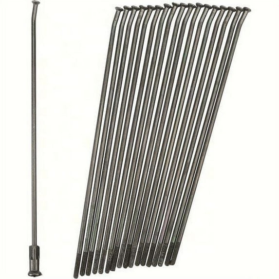 Pro-Wheel Double Butted Spokes Black/Black Rear 19" 36/Pk - 19-B205205-2