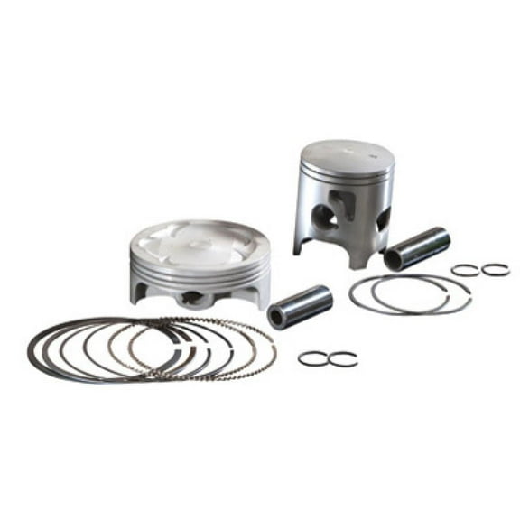 Pro X Piston Kit .020 (100.5mm)