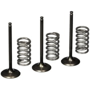 Pro-X Steel Intake Valve & Spring Kit 28.SIS2424-2