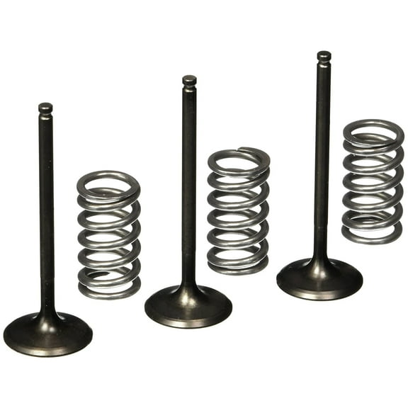 Pro-X Steel Intake Valve & Spring Kit (28.SIS2424-2)