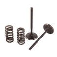 thumbnail image 1 of Pro X Steel Intake Valve/Spring Kit, 1 of 2