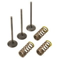 thumbnail image 1 of Pro X 28.SIS2424-2 Steel Intake Valve/Spring Kit, 1 of 2