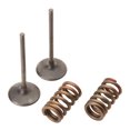 thumbnail image 1 of Pro X Steel Intake Valve/Spring Kit, 1 of 2