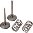 thumbnail image 1 of Pro X Steel Intake Valve/Spring Kit, 1 of 2