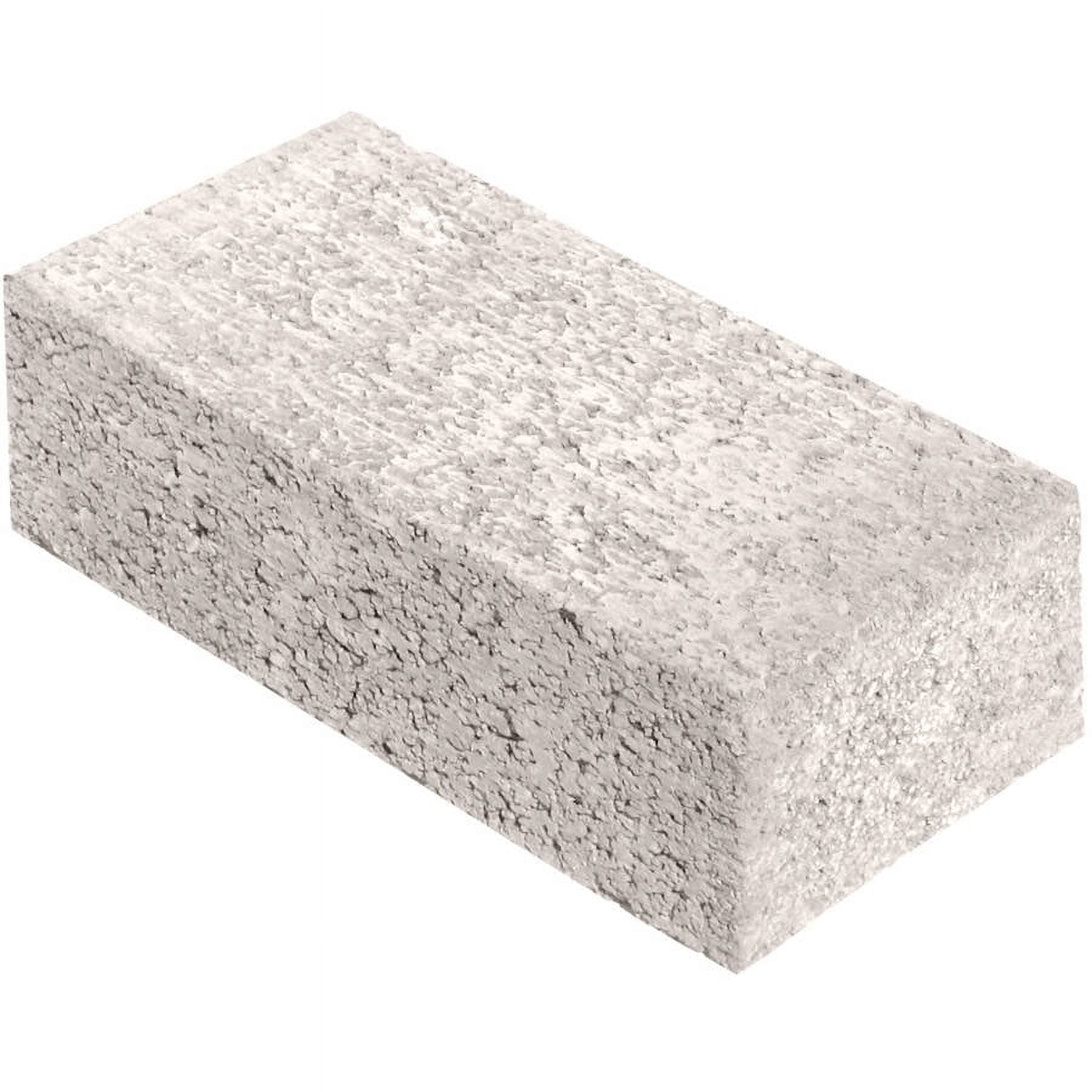 Pro-pak Buff Brick