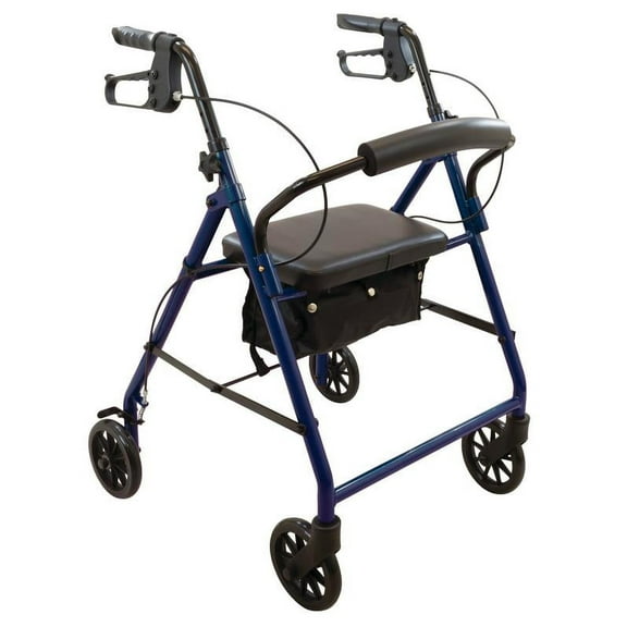 ProBasics Economy Steel Rollator with 6" Wheels and Padded Backrest, Blue, 300 lb Capacity