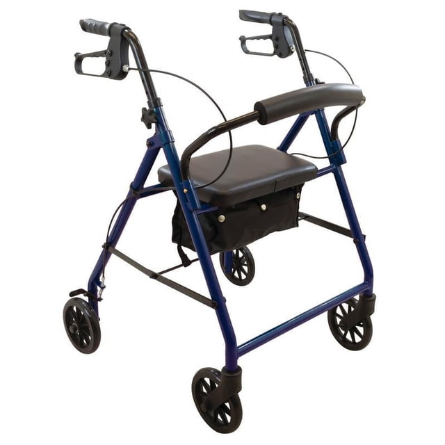 ProBasics Economy Steel Rollator with 6