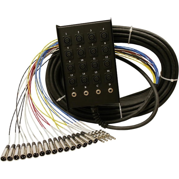 ProCo StageMASTER Snake 16x4 150 ft.