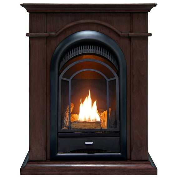 ProCom Dual Fuel Ventless Gas Fireplace System-10,000 BTU, T-Stat Control, Chocolate-Model#FS100T-CH