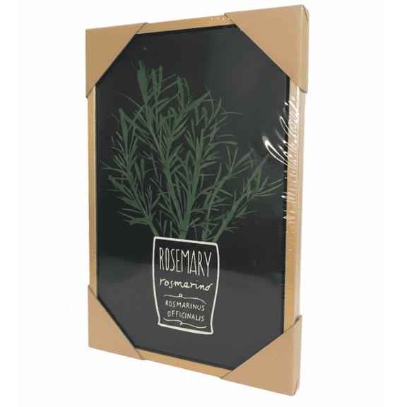 ProFinds Rosemary Botanical Illustration Framed Wall Art ,Decor 1-Unit
