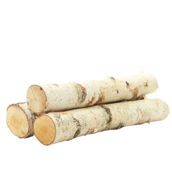 ProFlora Decorative Birch Logs 16" Pack of 3
