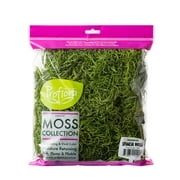 ProFlora Preserved Spanish Moss, True Green, 150 Cu in '12.75"', and '8.75"