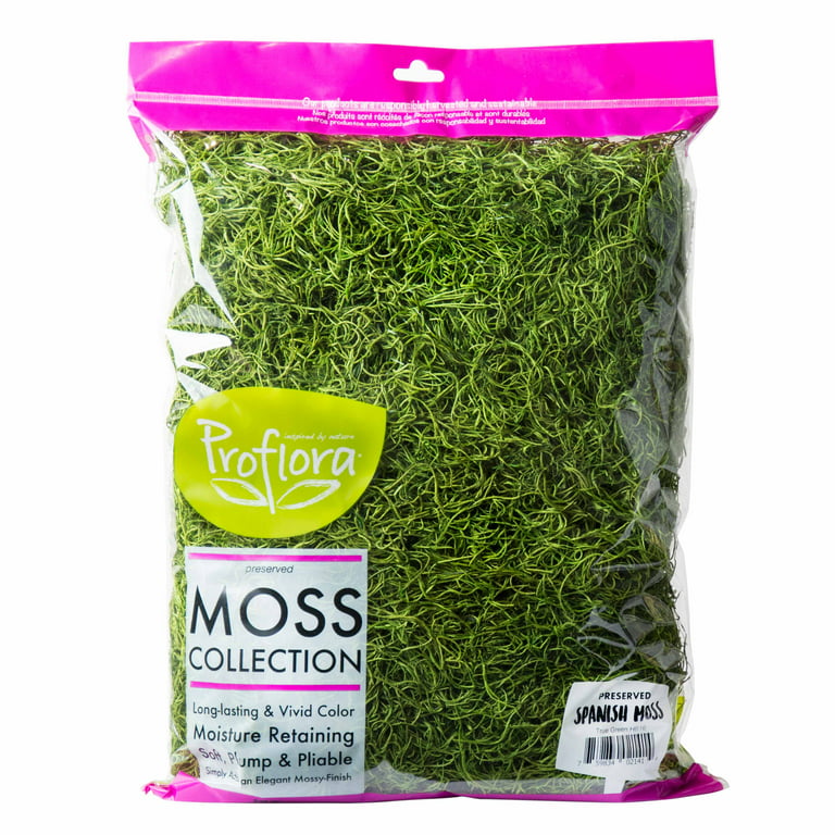 ProFlora Spanish Moss True Green, 16oz Floral Arranging Supplies