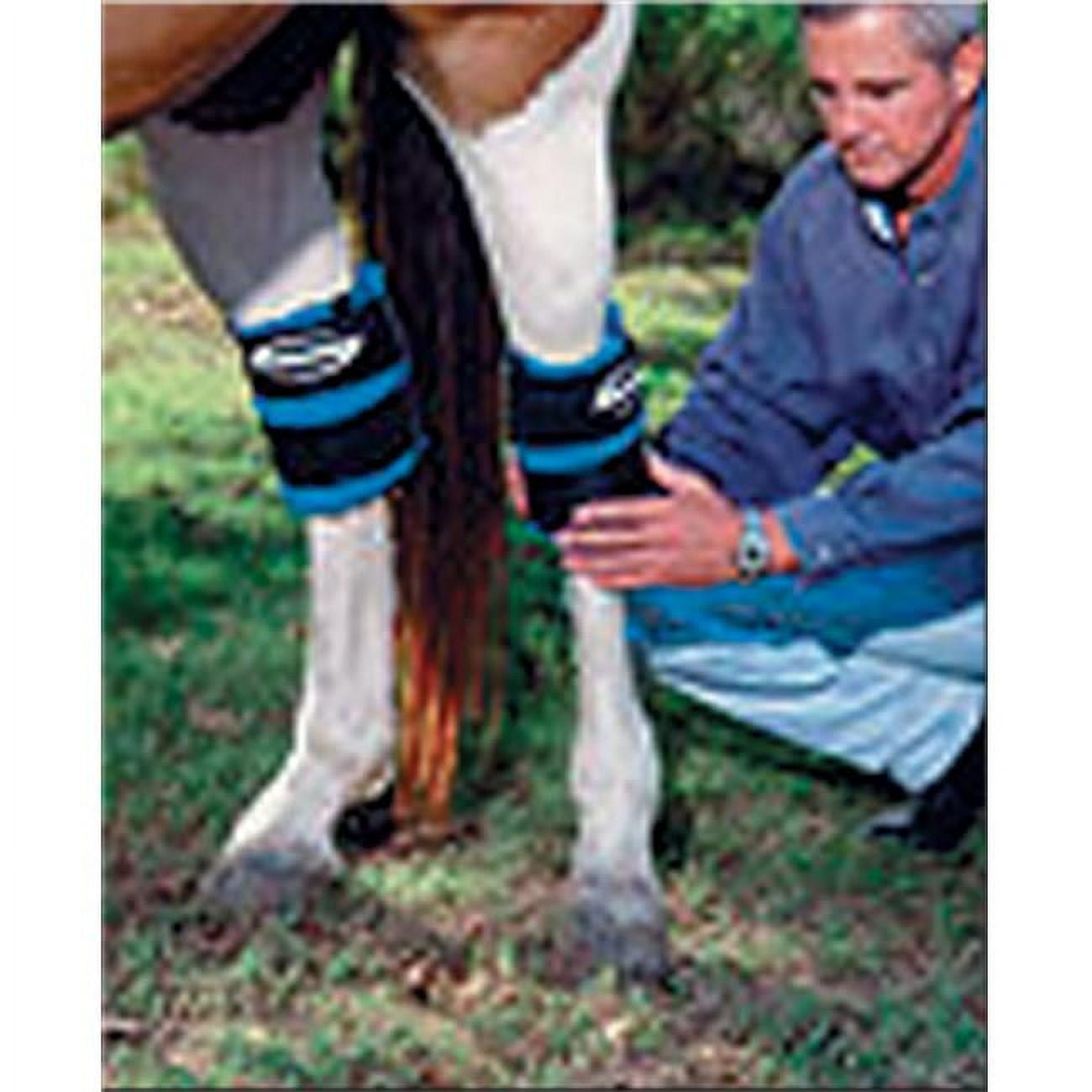ProKold HOCK or ANKLE Equine Leg Ice Wrap
