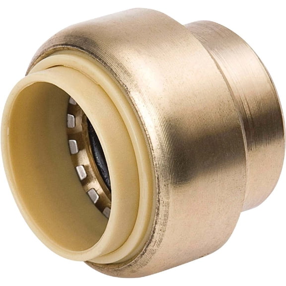 ProLine 1 In. PF Brass Push Fit Cap 6633-005