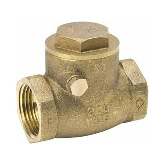 ProLine 101-008NL Threaded Swing Check Valve, Lead-Free Brass, 150 PSI, 2-In. - Quantity 2