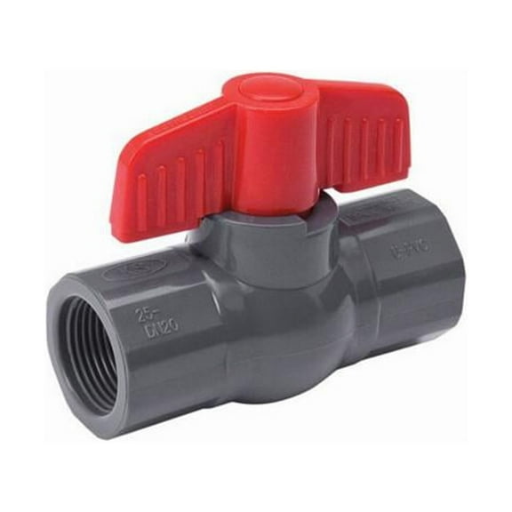 ProLine 107-104 Threaded Ball Valve, Gray PVC, Schedule 80, 3/4 In. - Quantity 5