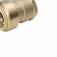 thumbnail image 1 of ProLine 3/4 In. PF x 3/4 In. FIP Brass Push Fit Female Adapter 6630-204, 1 of 2