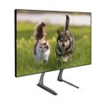 thumbnail image 1 of Pro-Mounts Tabletop TV Stand Mount with Height Adjustable Brackets for Displays 13”-72”, 1 of 5