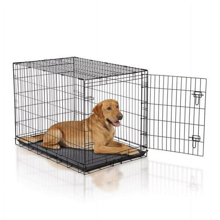 Pro select dog discount crate