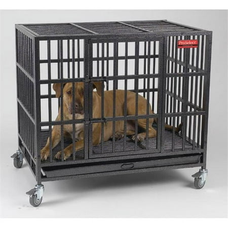 ProSelect Empire Cage Med S
