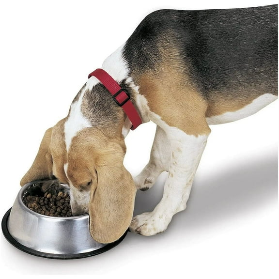 ProSelect X-Super Heavy No-Tip Stainless Steel Pet Bowl - Professional Grade 16oz
