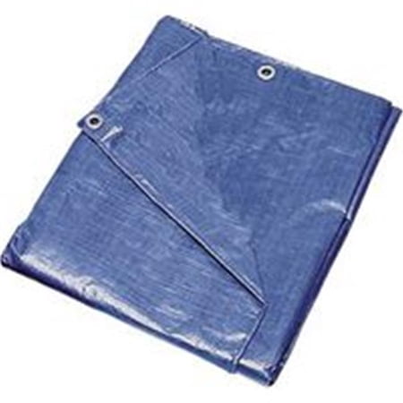 Mintcraft 10X12 Medium Duty Blue Tarp T1012BB90