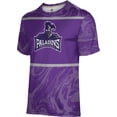 thumbnail image 1 of ProSphere Boys' Furman University Ripple Tech Tee, 1 of 7