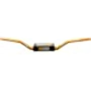 ProTaper P2601-GLD